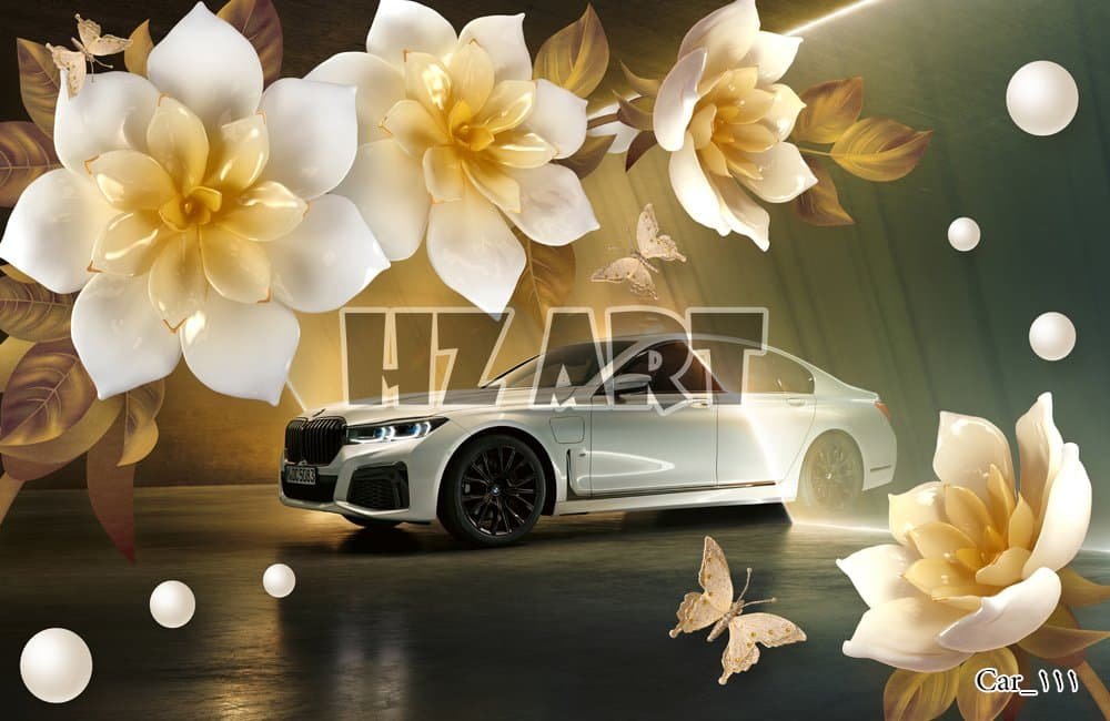 Car_111