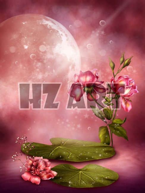 Fan_231