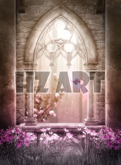 Fan_243