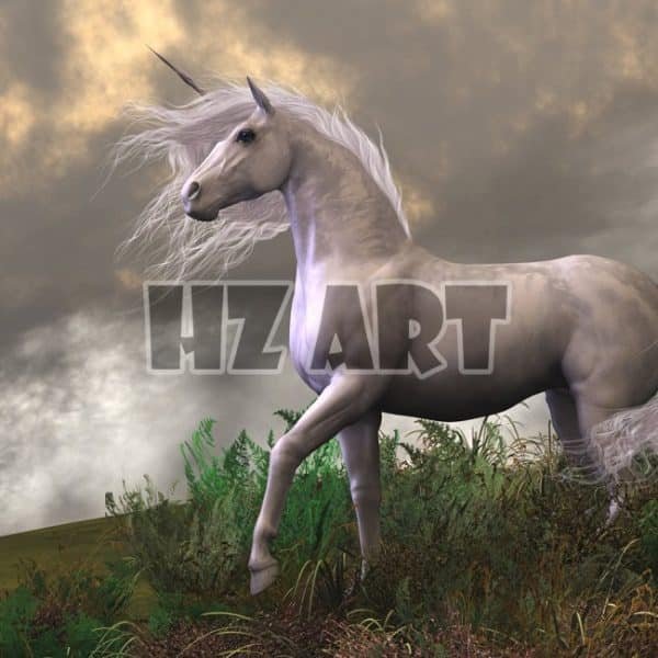 Fan_271