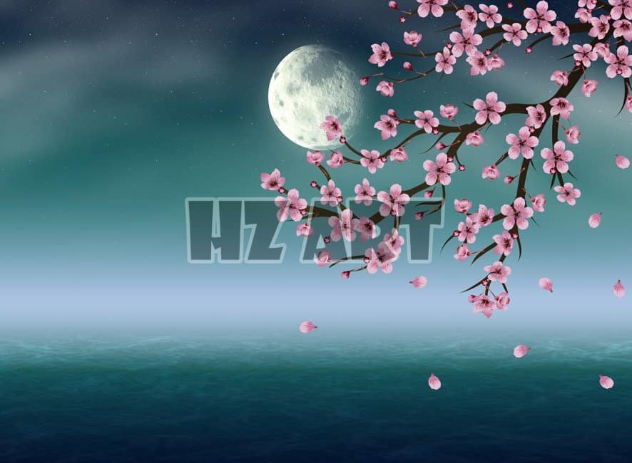 Fan_285