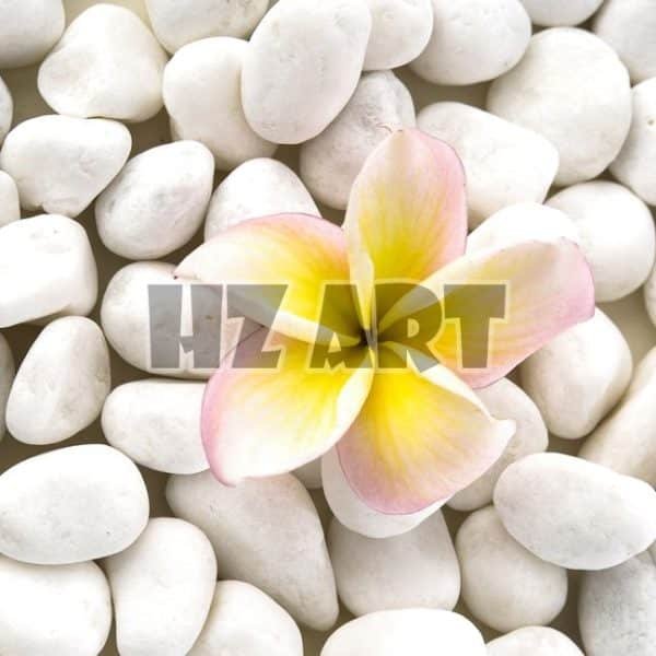 St_210