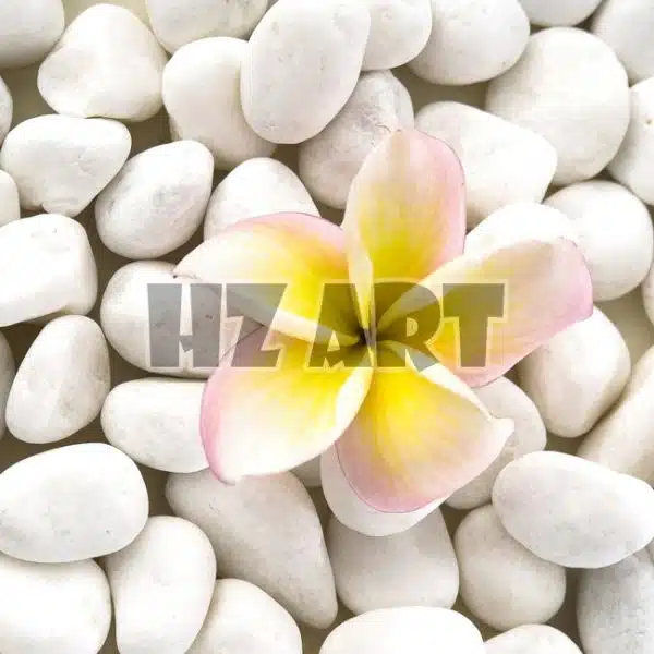 St_210