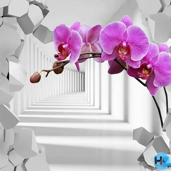 3D_1901