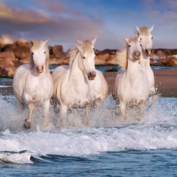Animal_318