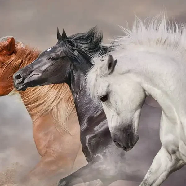 Animal_322
