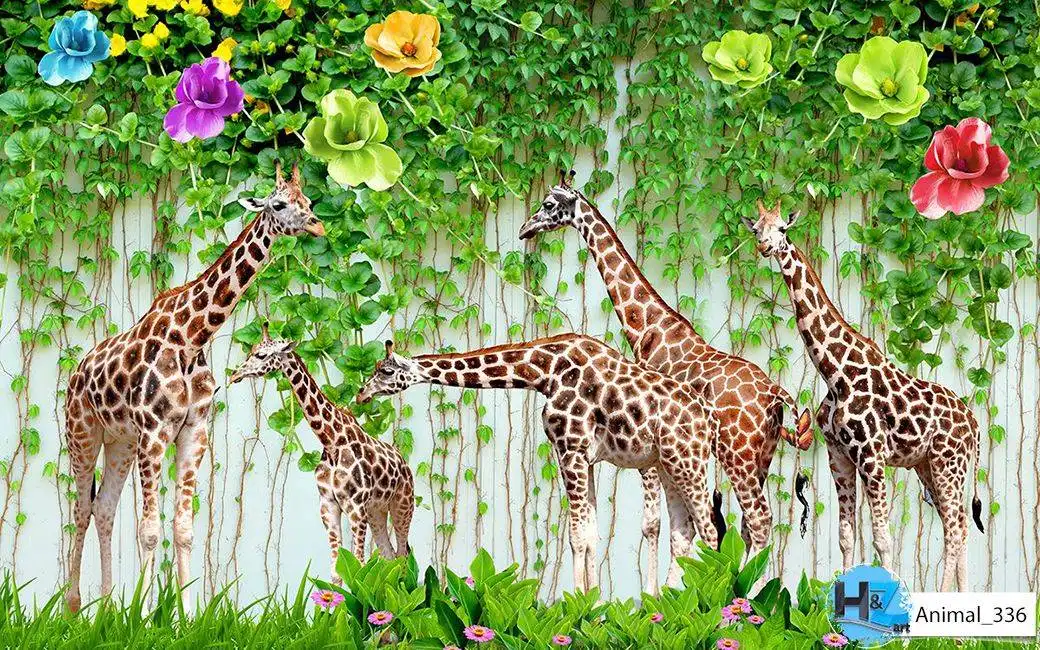Animal_336