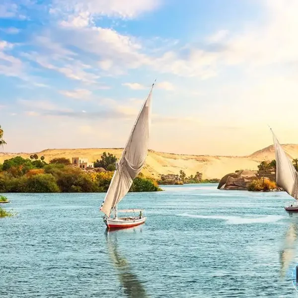 Egy_109