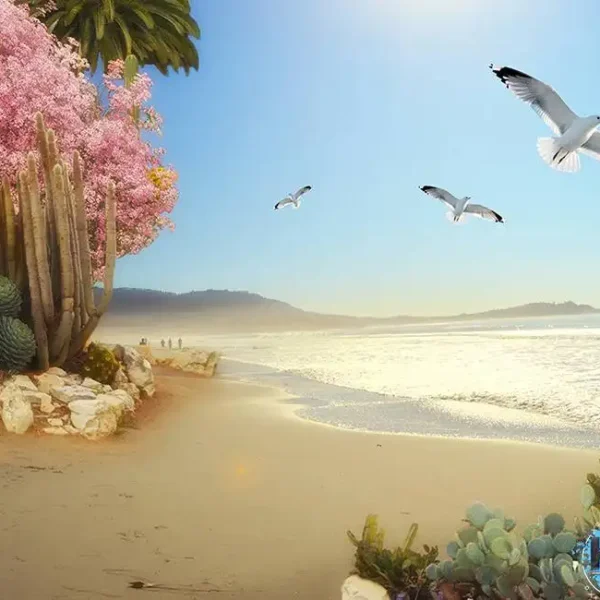La_563