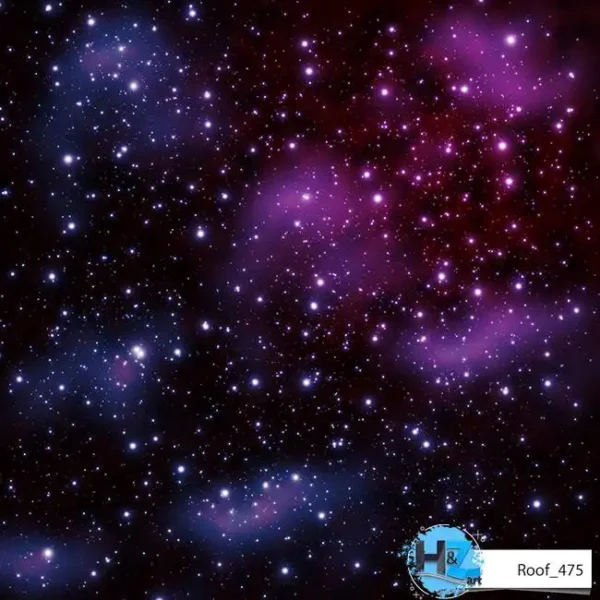 Roof_475