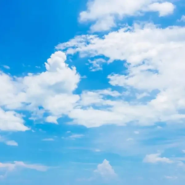 Roof_477