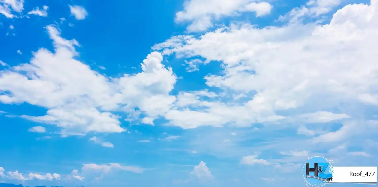 Roof_477