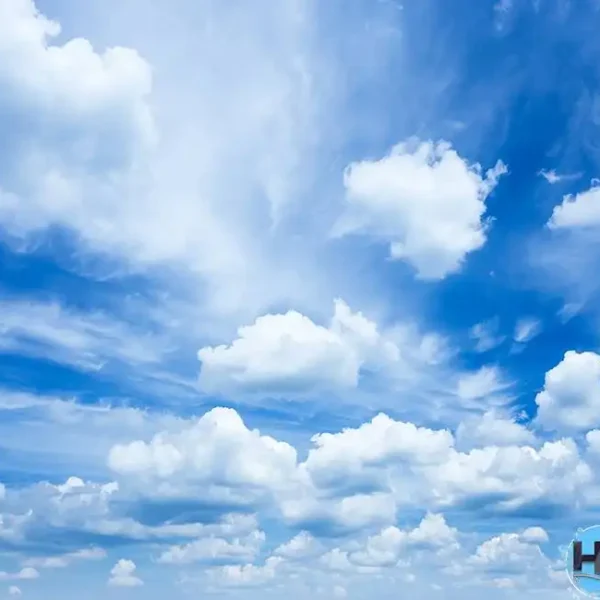 Roof_503