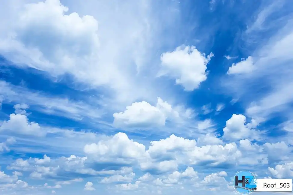 Roof_503