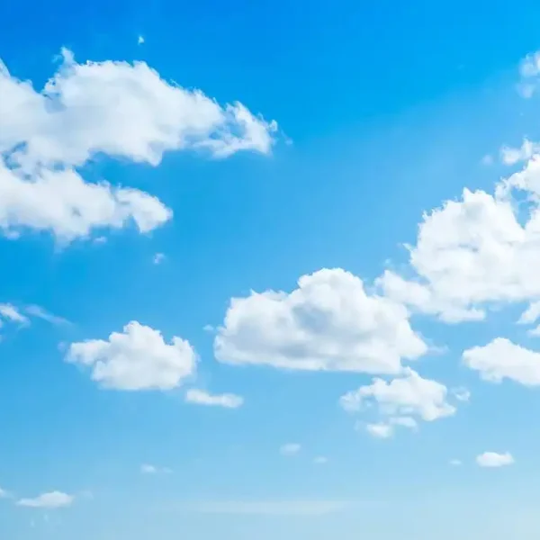 Roof_537