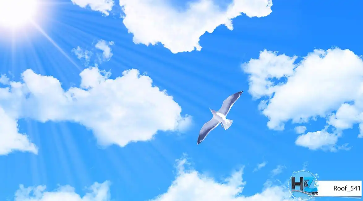 Roof_541