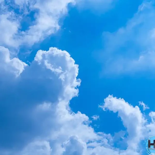 Roof_546