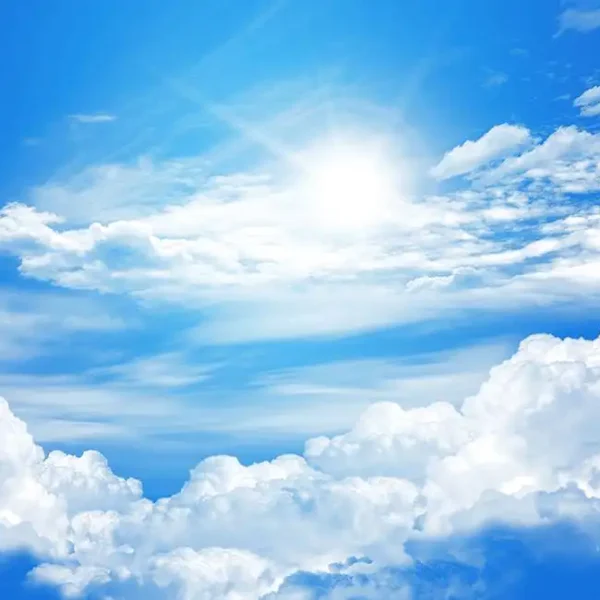 Roof_548