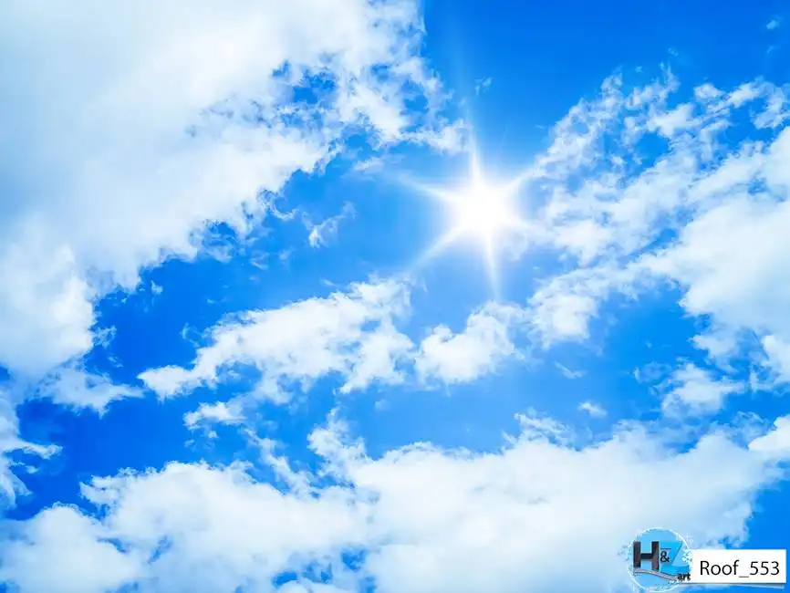 Roof_553
