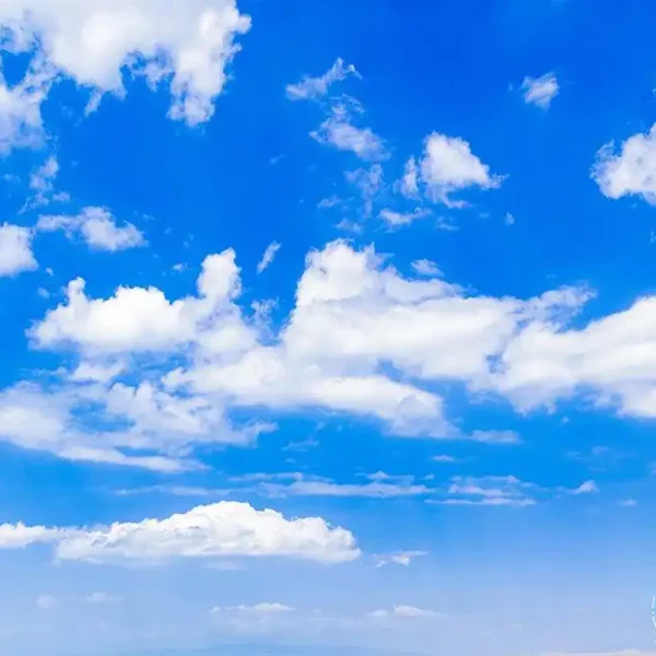 Roof_554