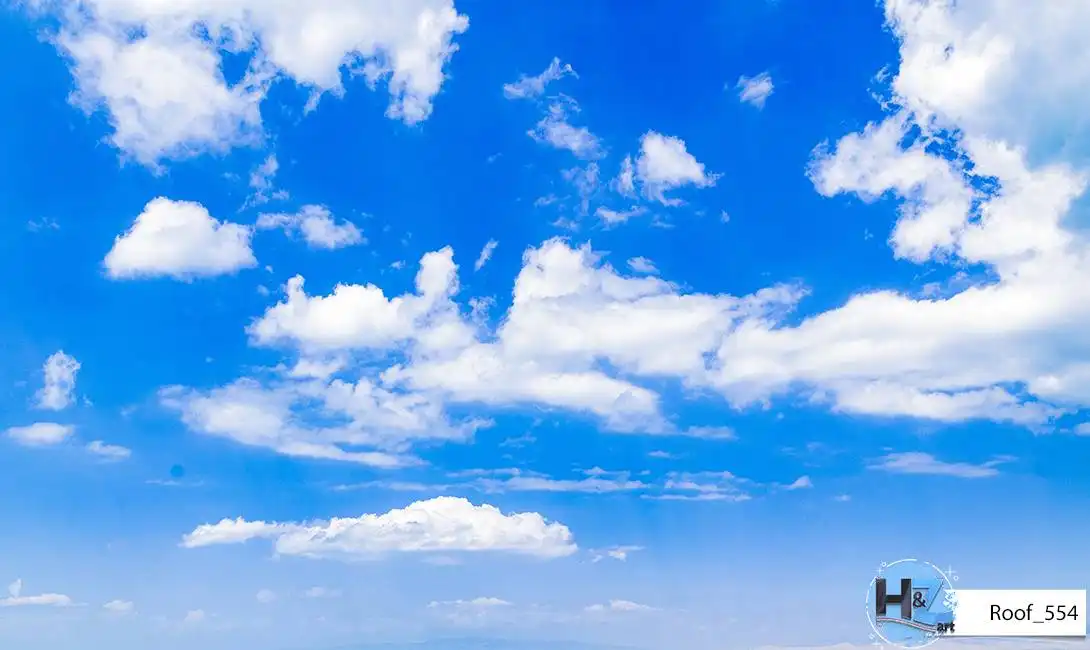 Roof_554