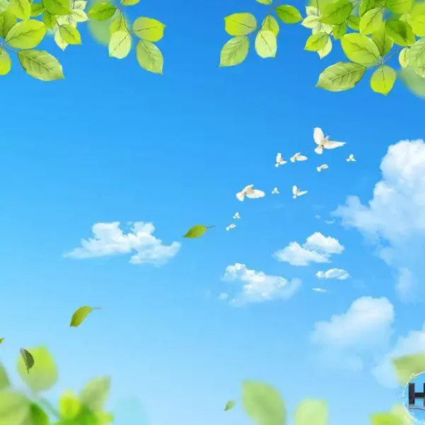 Roof_555