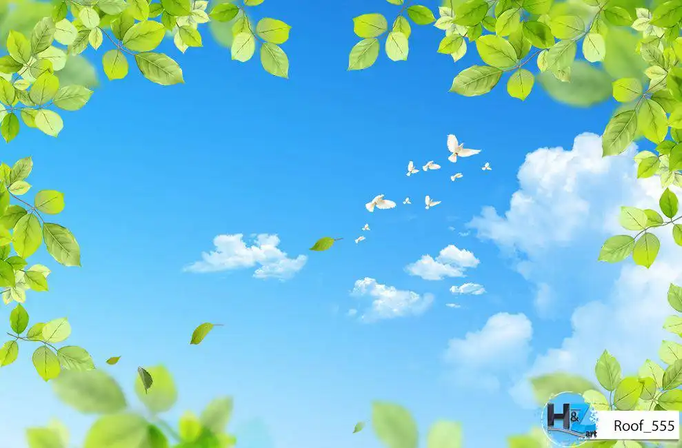 Roof_555