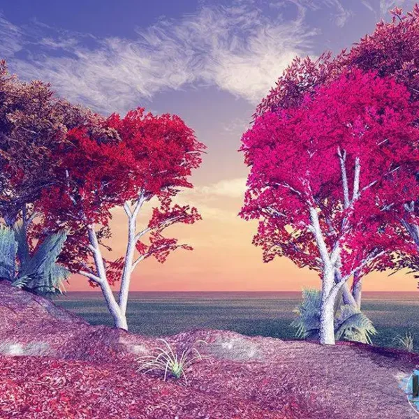 Tree_177